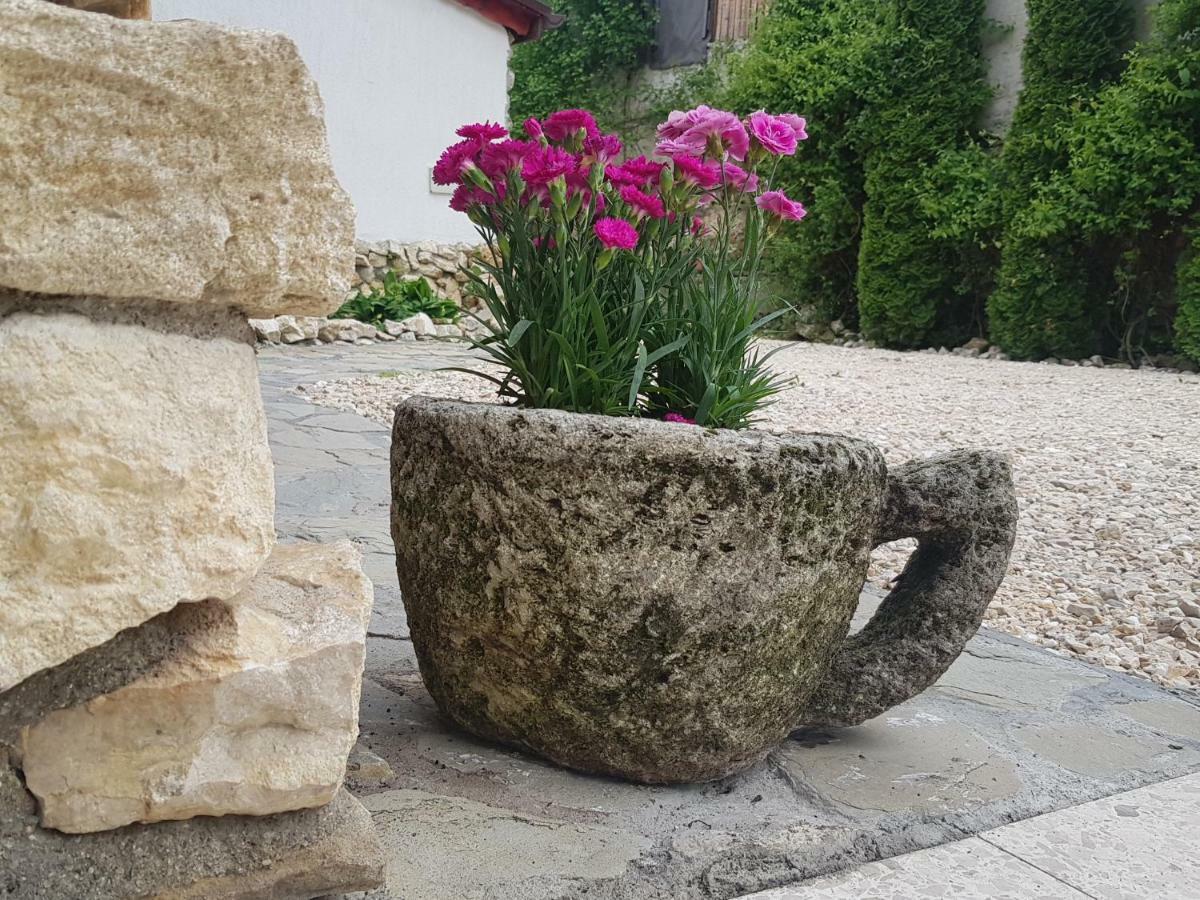 Ferienwohnung Casa Bergwald Rîşnov Exterior foto